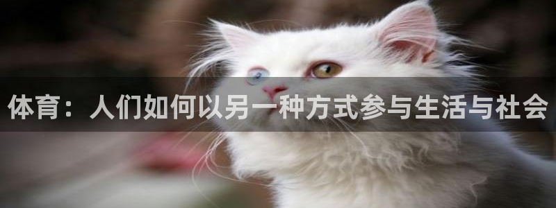 球客岛：体育：人们如何以另一种方式参与生活与社会