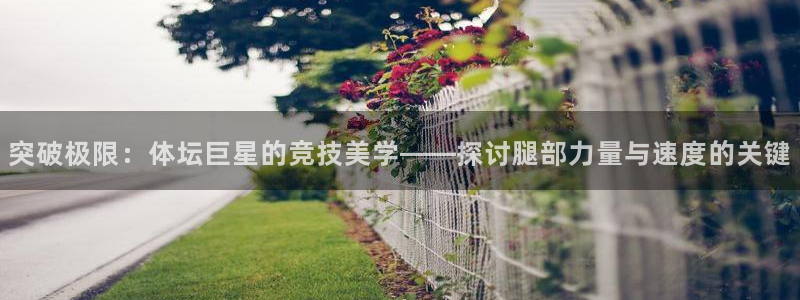 球客岛：突破极限：体坛巨星的竞技美学——探讨腿部力量与速度的关键