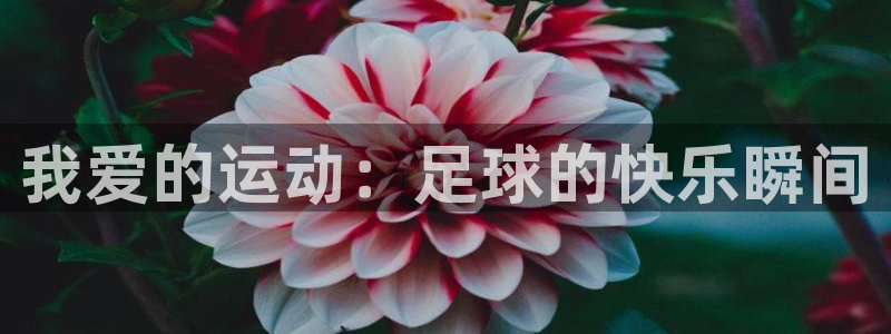 球客岛：我爱的运动：足球的快乐瞬间