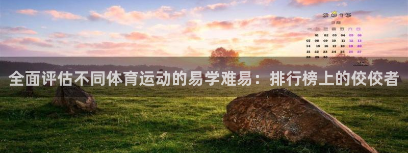 球客岛：全面评估不同体育运动的易学难易：排行榜上的佼佼者