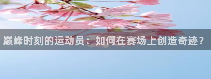 球客岛：巅峰时刻的运动员：如何在赛场上创造奇迹？