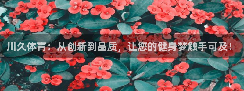 球客岛：川久体育：从创新到品质，让您的健身梦触手可及！