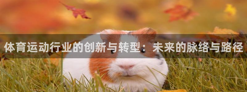 球客岛：体育运动行业的创新与转型：未来的脉络与路径