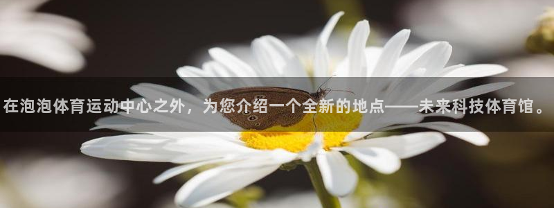 球客岛：在泡泡体育运动中心之外，为您介绍一个全新的地点——未来科技体育馆。