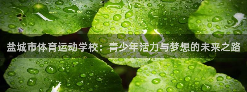 球客岛：盐城市体育运动学校：青少年活力与梦想的未来之路